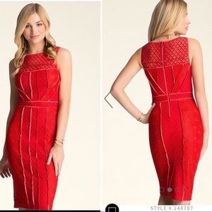 NWT LEILA LACE PANELED DRESS size 2